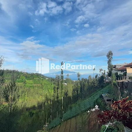 Bromo Indah Lestari Homestay Mitra Reddoorz Pasuruan Exteriör bild