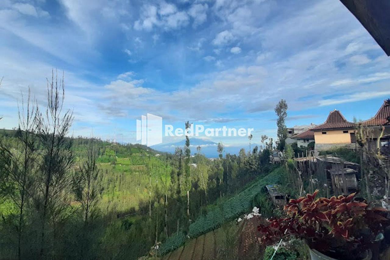 Bromo Indah Lestari Homestay Mitra Reddoorz Pasuruan Exteriör bild